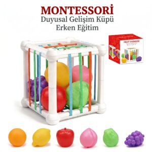 Home bbsky montessori eğitici bebek oyuncakları 10+ ay duyusal gelişim küpü, renkli meyve ve Şekil eşleştirme seti, ilk doğum günü hediyesi